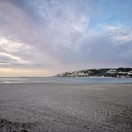 Villa Modern In Obidos Lisbon With Garden And Pool *